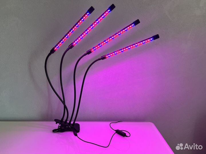 Фитолампа для растений