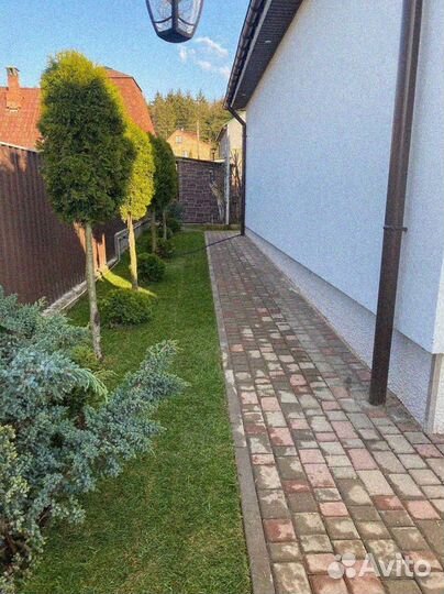 Рулонный газон 