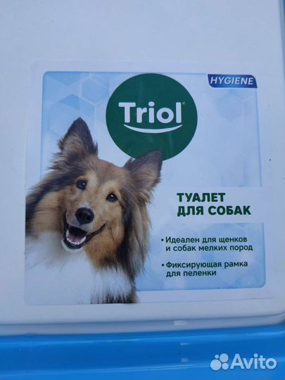 Новый туалет для собак