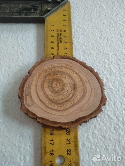 Торцевые спилы ирги