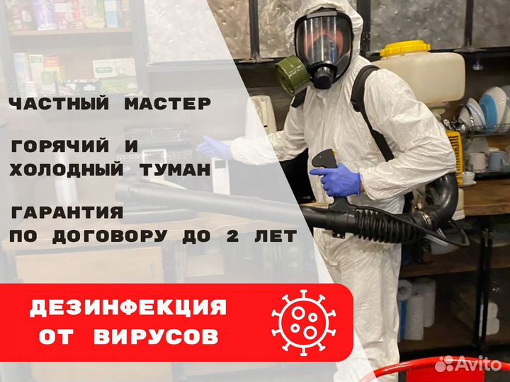 Дезинфекция / Уничтожение насекомых, тараканов