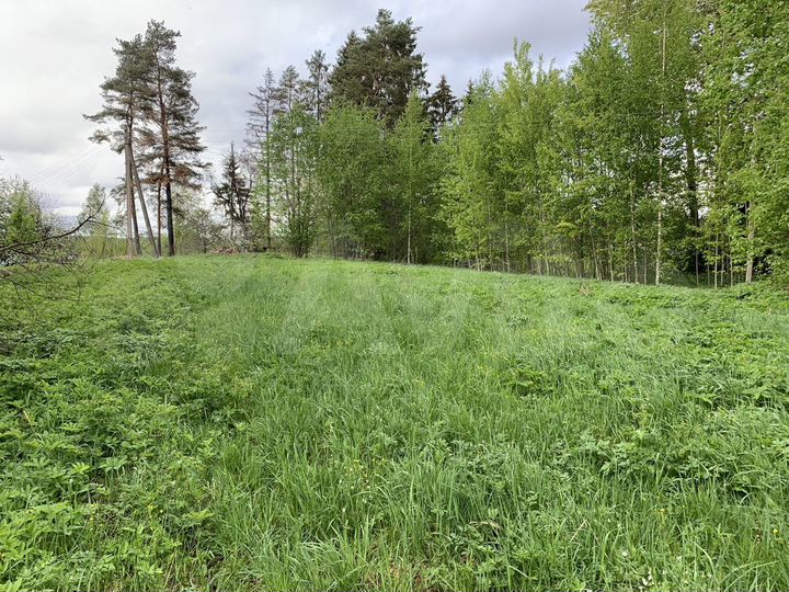 Участок 38 сот. (ИЖС)