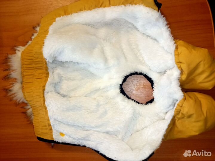 Зимний комбинезон для собаки (мальчик)