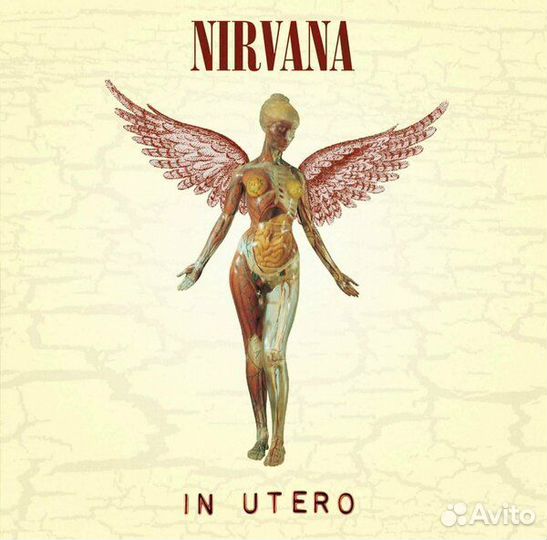 Виниловая пластинка Nirvana, In Utero