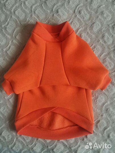 Пошив одежды для собак