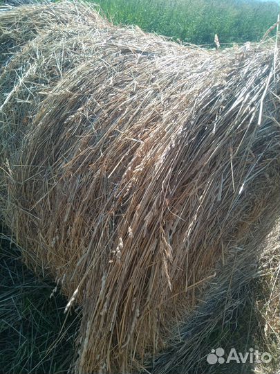 Сено с доставкой