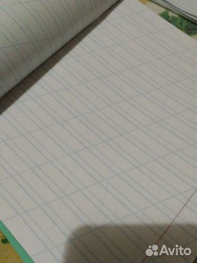 Тетради, 21 шт, косая узкая линия