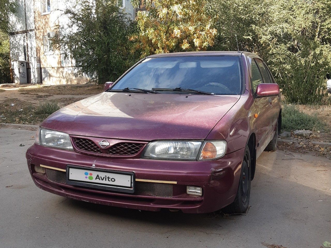 Nissan Almera: фото владельца