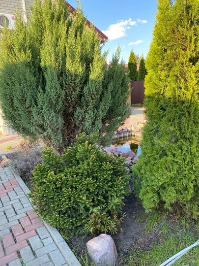 Дом 179 м² на участке 13,3 сот.