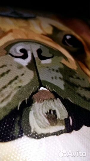 Картинки на холсте, постеры