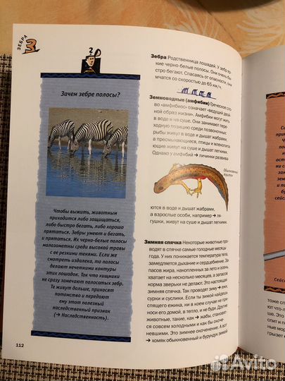 Детская энциклопедия