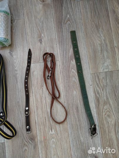 Поводок для собак