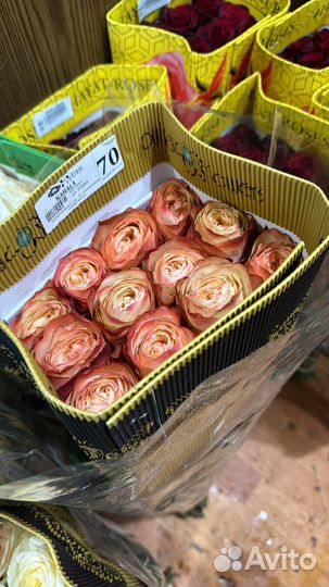 Цветы из эквадора,голландии И краснодара