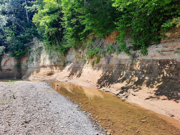 Участок 24,6 сот. (СНТ, ДНП)