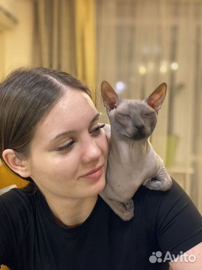 Жених ищет невесту