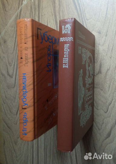 И. Губерман Штрихи к портрету Гарики из Атлантиды