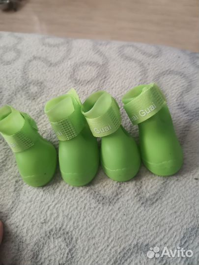 Дождевик и обувь для собаки