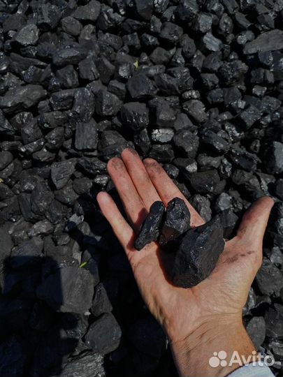 Сспк уголь для вашего дома