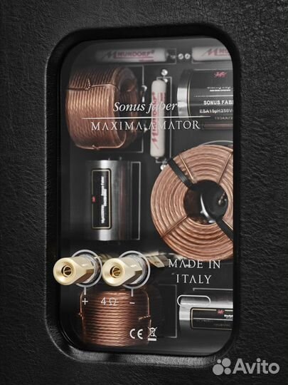 Sonus faber amator maxima