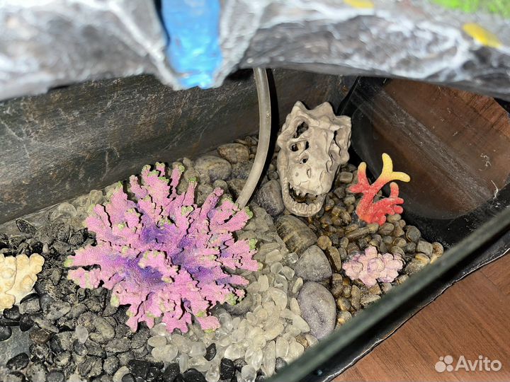 Аквариум фонтан