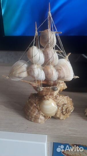 Сувениры из ракушек 4 шт