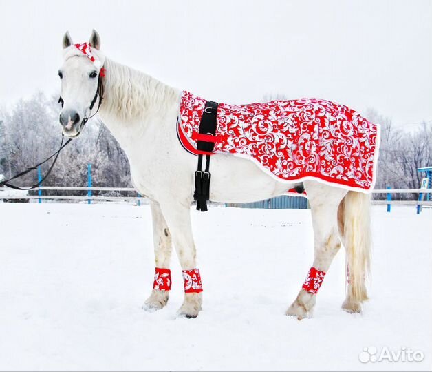 Новогодние Попоны для лошади