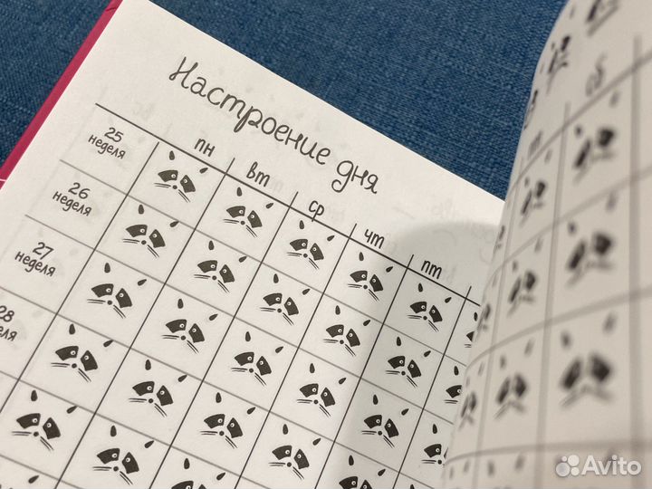 Дневник енота с вишенкой для заполнения