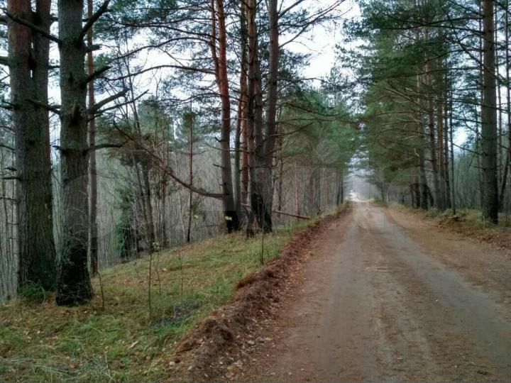 Участок 6,3 га (СНТ, ДНП)