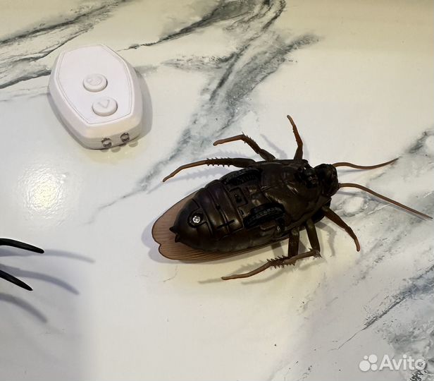 Бегающие паук и таракан на пульте
