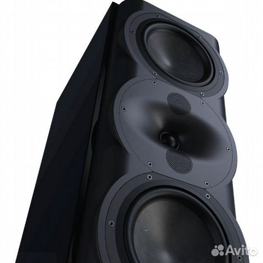 Полочная акустика Perlisten Audio R5m