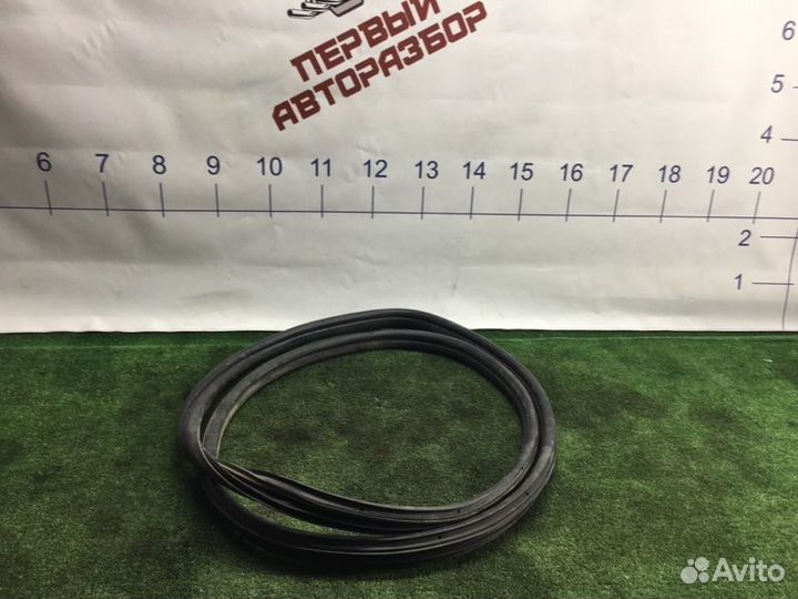 Уплотнитель дверного проема передний правый