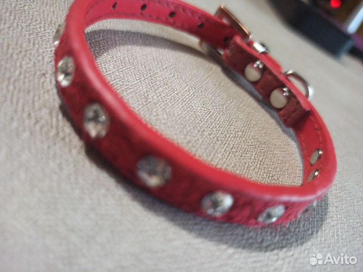 Ошейник для маленькой собаки или кошки