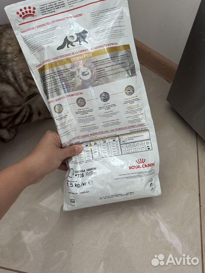 Сухой корм для кошек royal canin urinary S/O