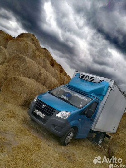 ГАЗ ГАЗель 3302 рефрижератор, 2019