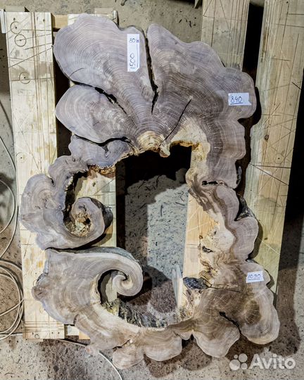 Торцевой спил, слэб Карагача