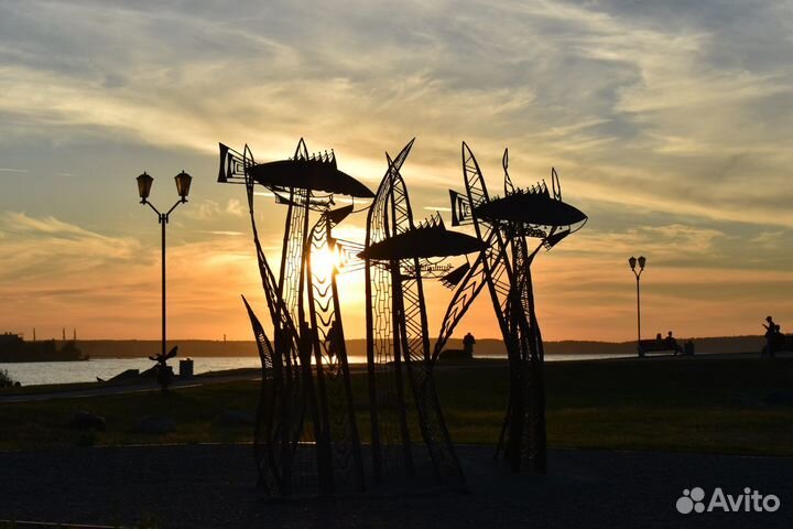 Пешеходная экскурсия-фотопрогулка по Петрозаводску