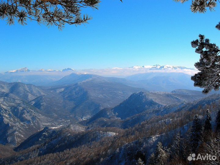Лаго наки