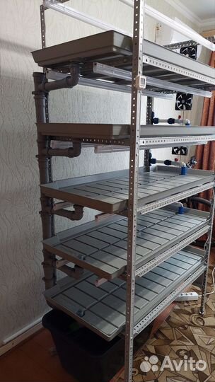 Стеллаж для микрозелени, гидропоника рассада цветы