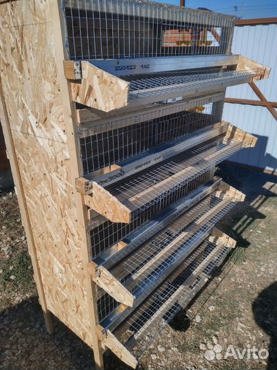 Клетка для перепелов