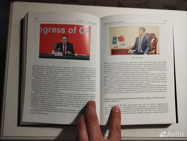 «Китайская власть» Н. Н. Вавилов