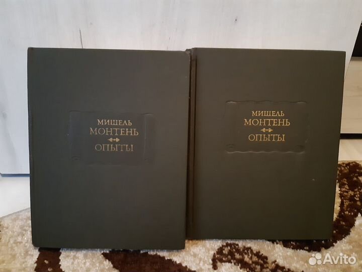 Серия«Литературные памятники»