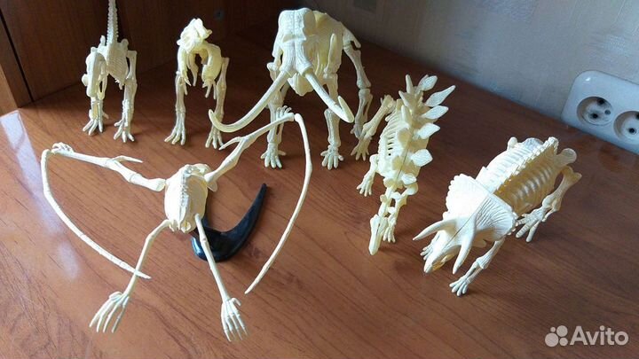 Скелет динозавра