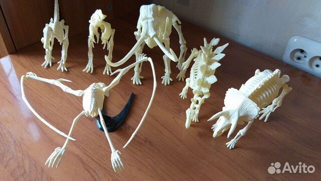 Скелет динозавра