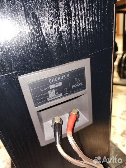 Focal chorus 726v