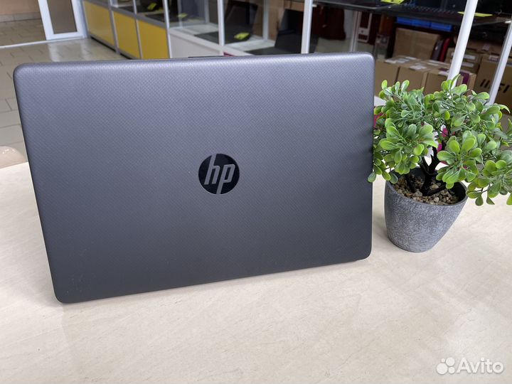 Отличный ноутбук HP/Ryzen/8GB/SSD
