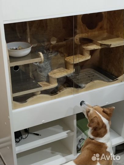 Домики для животных под заказ