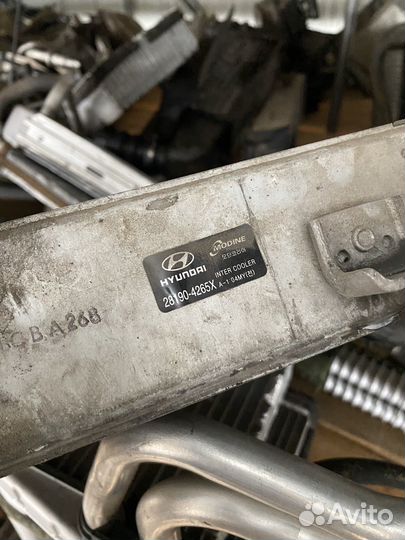 Хендай старекс 06 год интеркуллер