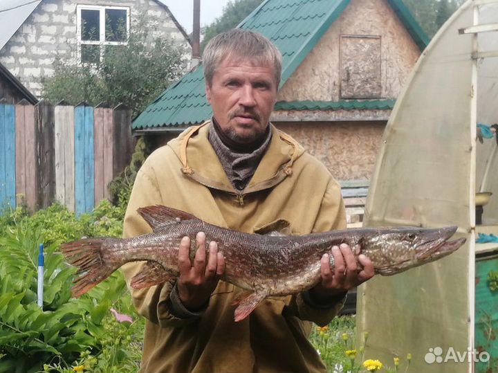 Менеджер по продажам (Специалист, стаж 26 лет)