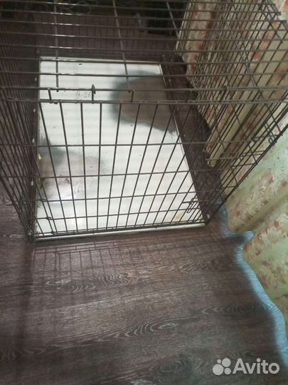 Клетка для собак