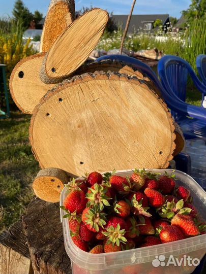 Фигурки для сада